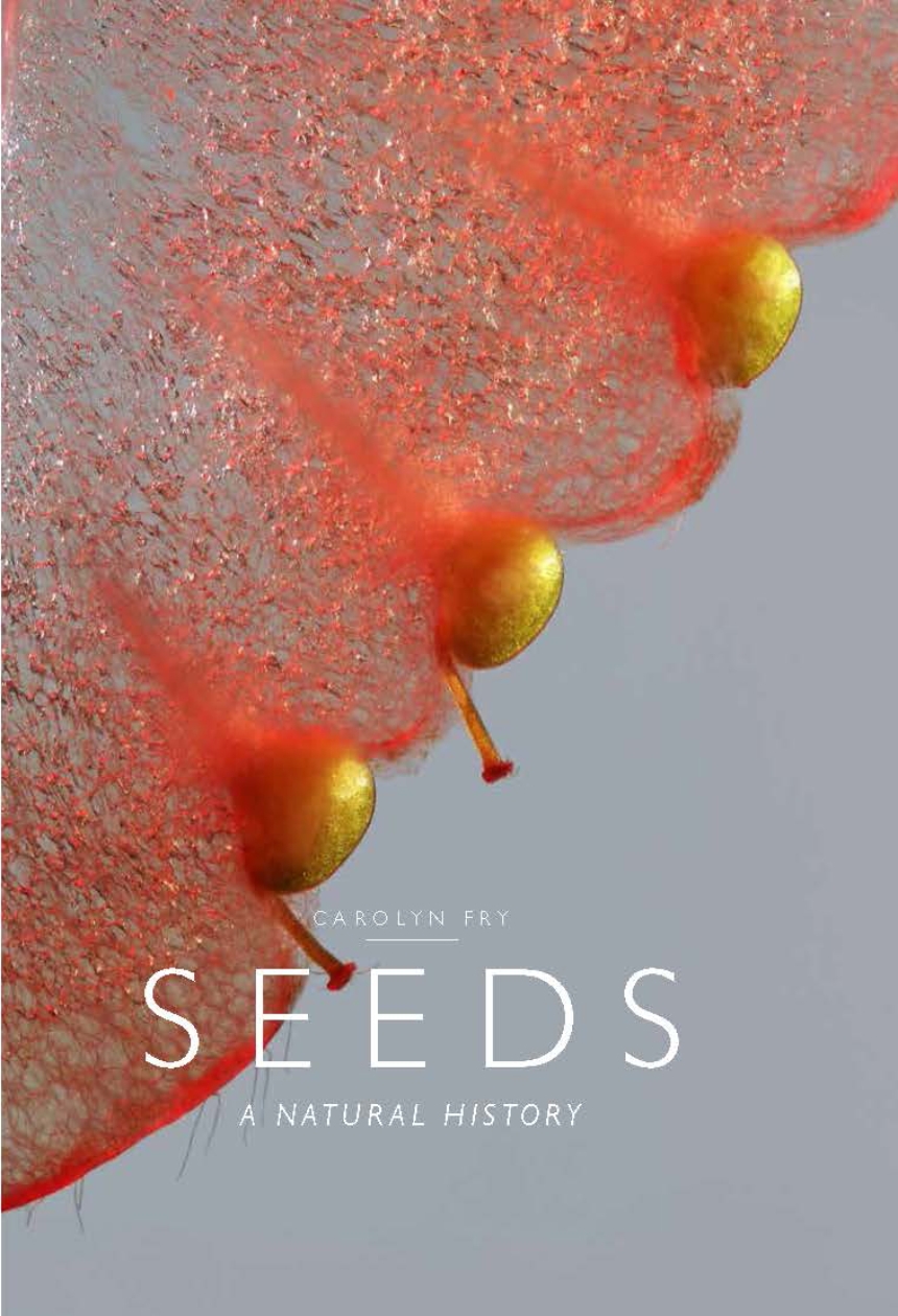 Seeds