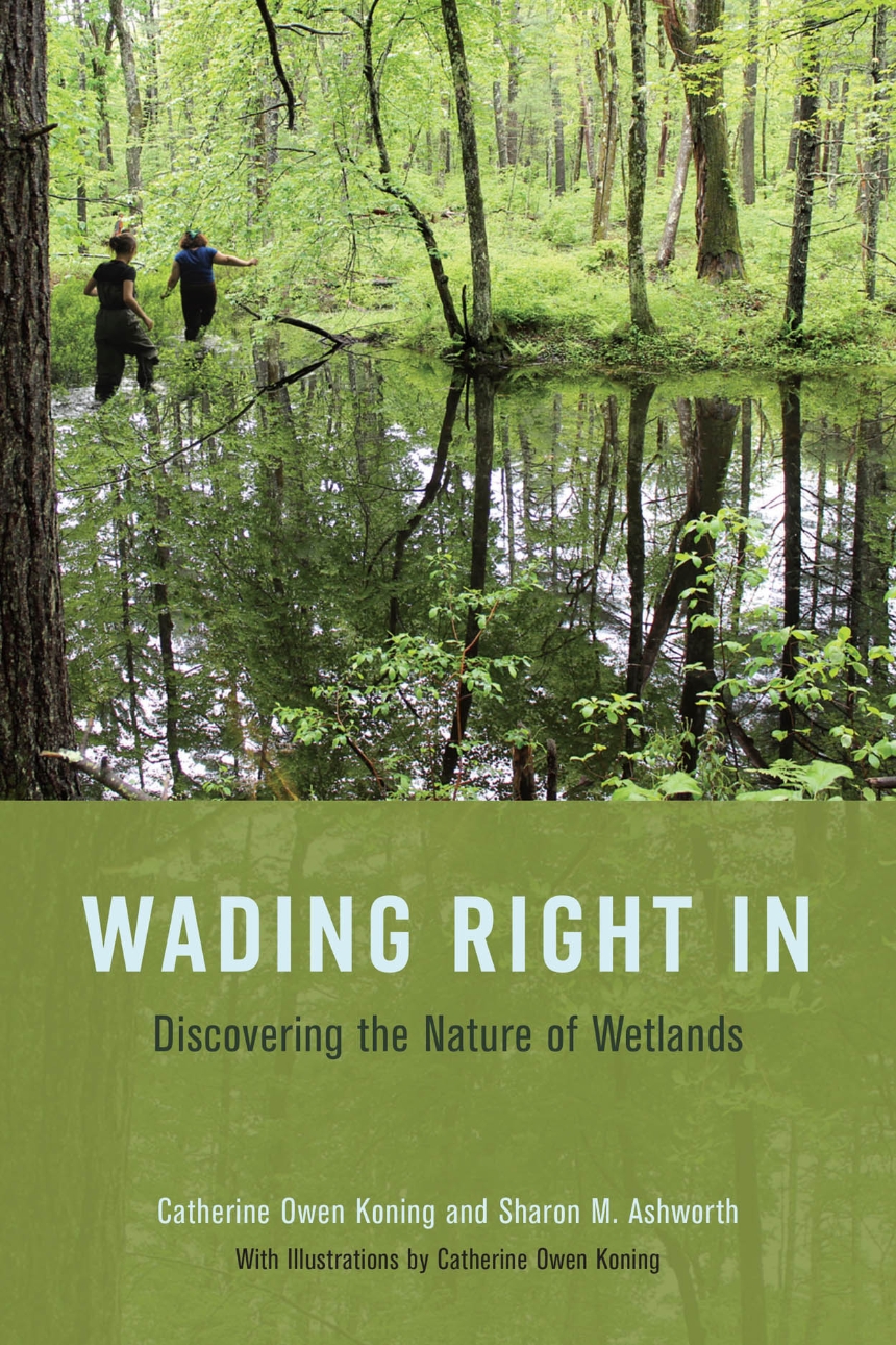 Wading Right In