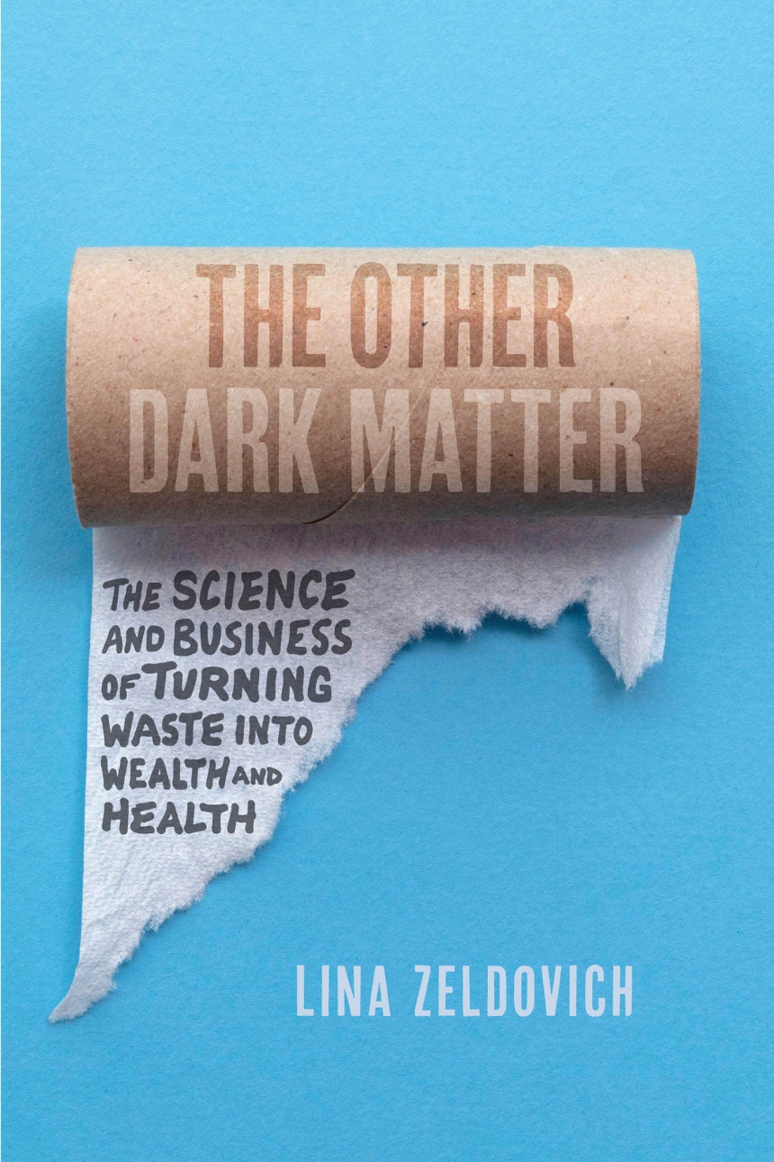 The Other Dark Matter