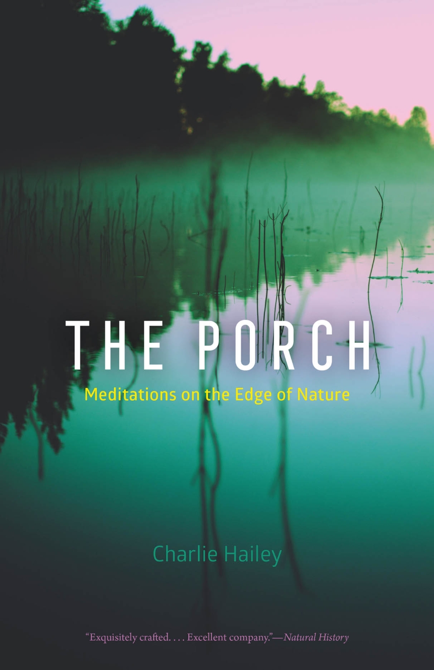 The Porch
