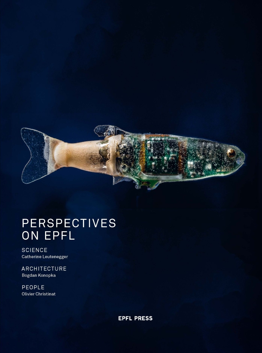 Perspective on EPFL
