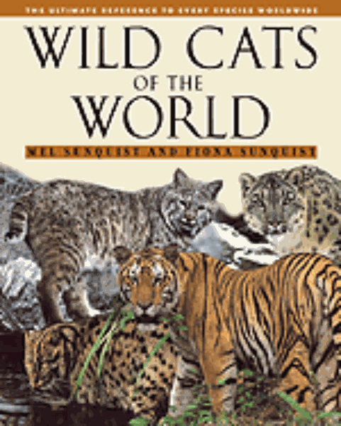 Wild Cats of the World