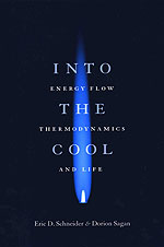 Into the Cool: Energy Flow, Thermodynamics, and Life