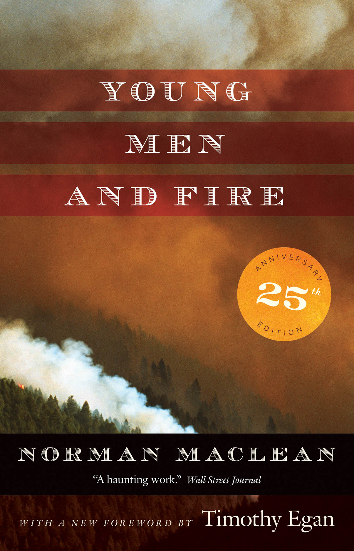 Jacket image for Young Men and Fire